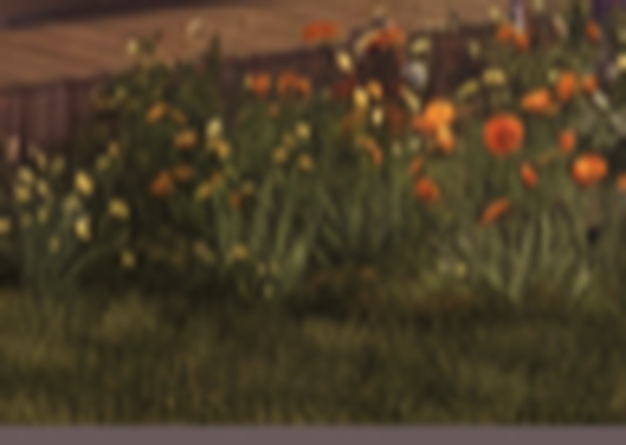 Wildflower garden planting shared by both homes